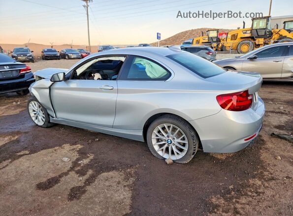 WBA1F9C50GV545768 2016 BMW 2 SERIES Silver Հետևի ձախ