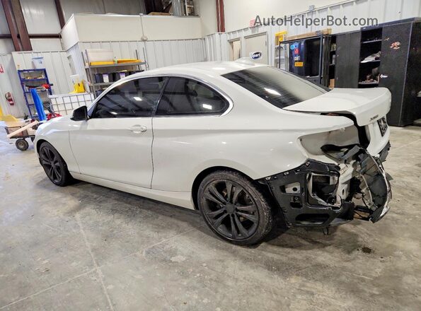 WBA1G9C50GV598970 2016 BMW 2 SERIES White უკანა მარცხენა