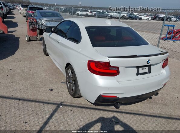 WBA1J7C50GV359067 2016 BMW M2 White Задня ліва чверть