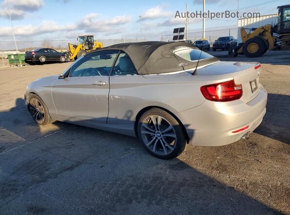 WBA1K9C54GV322693 2016 BMW 2 SERIES Silver Հետևի ձախ
