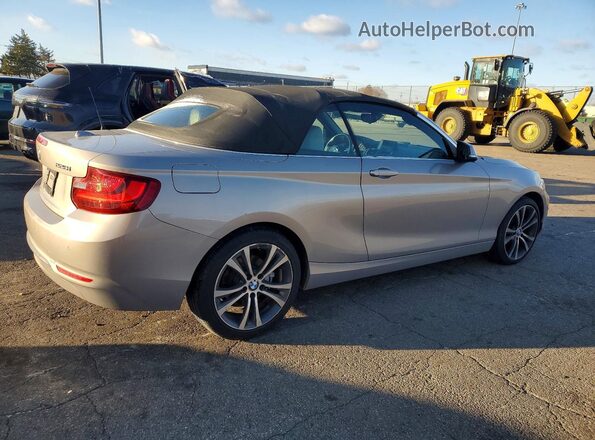 WBA1K9C54GV322693 2016 BMW 2 SERIES Silver Հետևի աջ