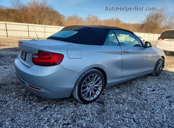 WBA1L9C54GV767271 2016 BMW 2 SERIES Silver Հետևի աջ