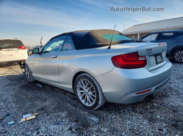 WBA1L9C54GV767271 2016 BMW 2 SERIES Silver Հետևի ձախ