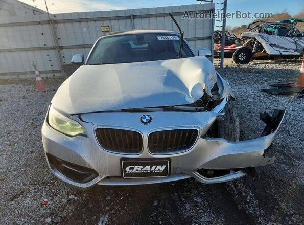 WBA1L9C54GV767271 2016 BMW 2 SERIES Silver Դիմացի տեսք