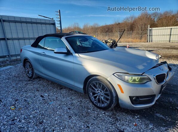WBA1L9C54GV767271 2016 BMW 2 SERIES Silver Առջևի աջ