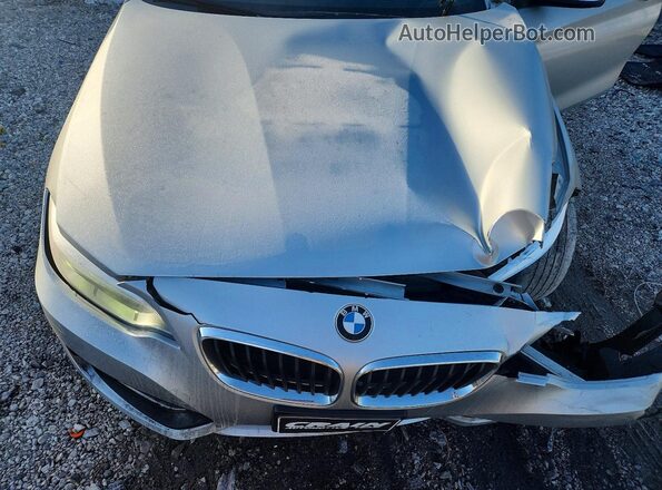 WBA1L9C54GV767271 2016 BMW 2 SERIES Silver Սալոնի հետևի տեսք