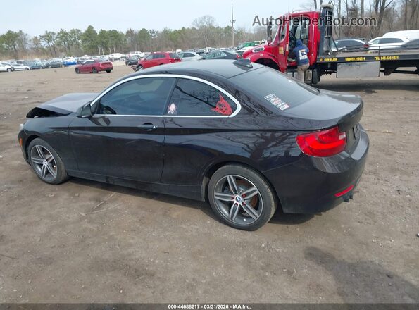 WBA2F9C50HV664278 2017 BMW 2 SERIES Черный Панорамный вид салона 360°