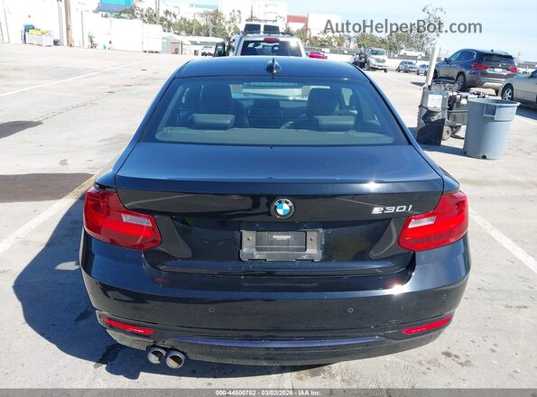 WBA2F9C52HV664377 2017 BMW 2 SERIES Black 
