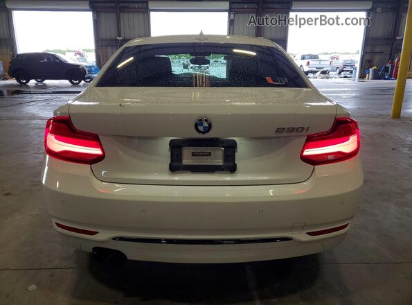WBA2J1C07L7E53521 2020 BMW 2 SERIES White Հետևի տեսք