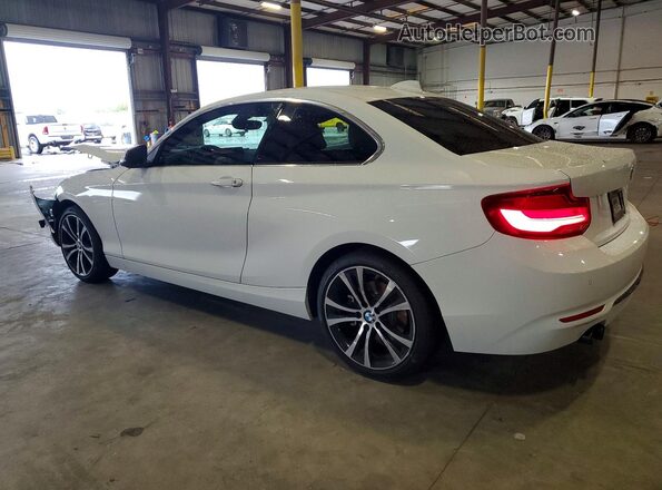 WBA2J1C07L7E53521 2020 BMW 2 SERIES White Հետևի ձախ