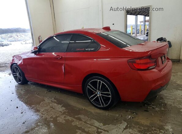 WBA2J3C01L7E74005 2020 BMW 2 SERIES Red Հետևի ձախ