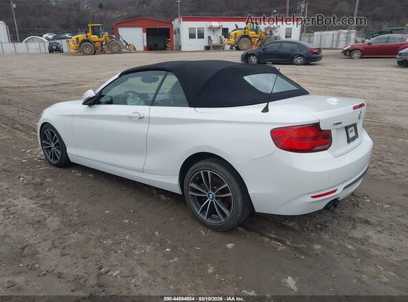 WBA2K1C50KVD41789 2019 BMW 2 SERIES White Trasero izquierdo