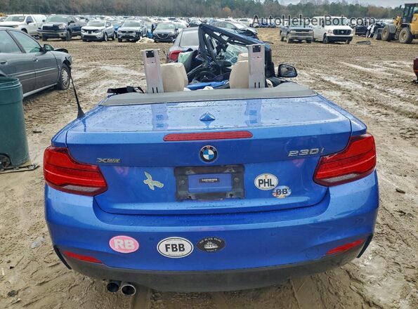 WBA2K1C53K7D56601 2019 BMW 2 SERIES Синий Вид сзади