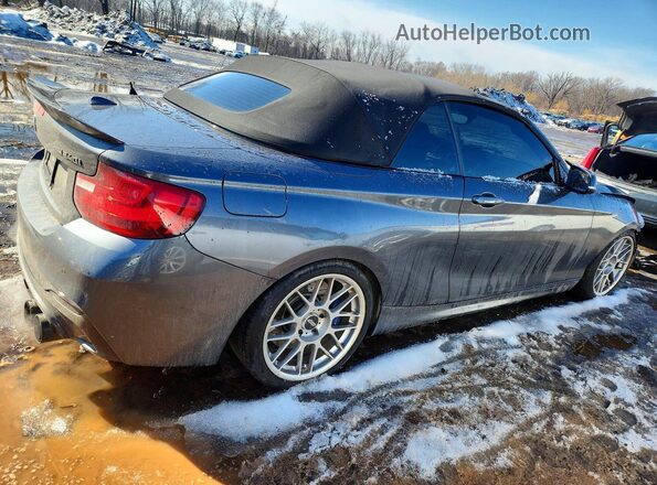 WBA2L3C31HV667338 2017 BMW M2 Gray Trasero derecho