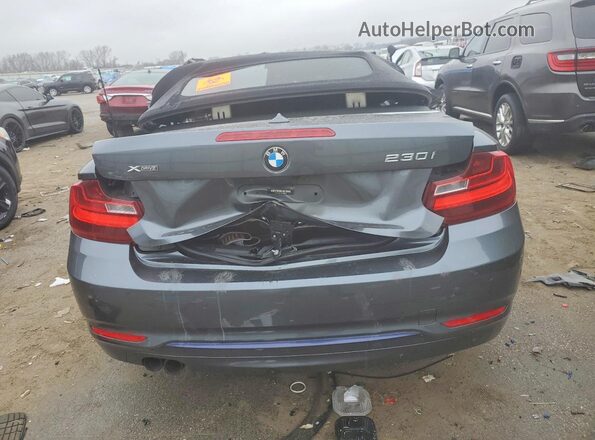 WBA2M9C31H7A47841 2017 BMW 2 SERIES Серый Вид сзади