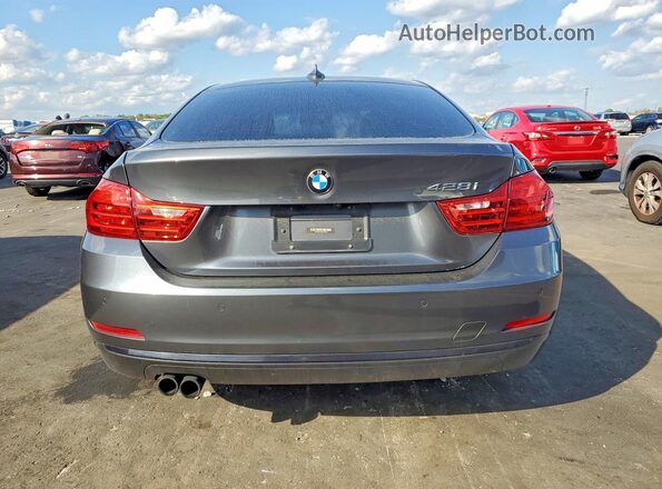 WBA4A9C52GG507264 2016 BMW 4 SERIES Gray Հետևի տեսք