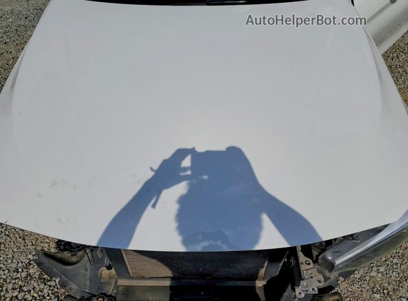 WBA4Z1C56JEC60220 2018 BMW 4 SERIES White Widok wnętrza z tyłu