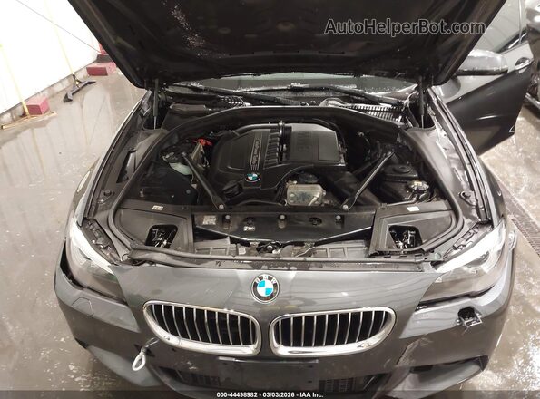 WBA5B3C59GG258444 2016 BMW 5 SERIES Gray უკანა ხედი