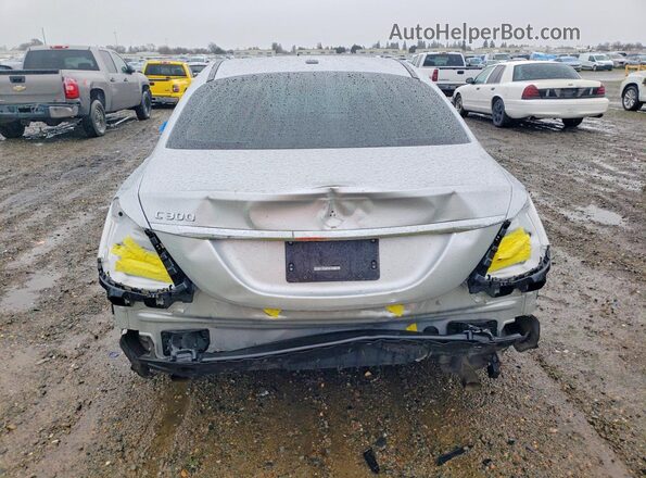 WDDWF8DB4LR549774 2020 MERCEDES-BENZ C Silver უკანა ხედი
