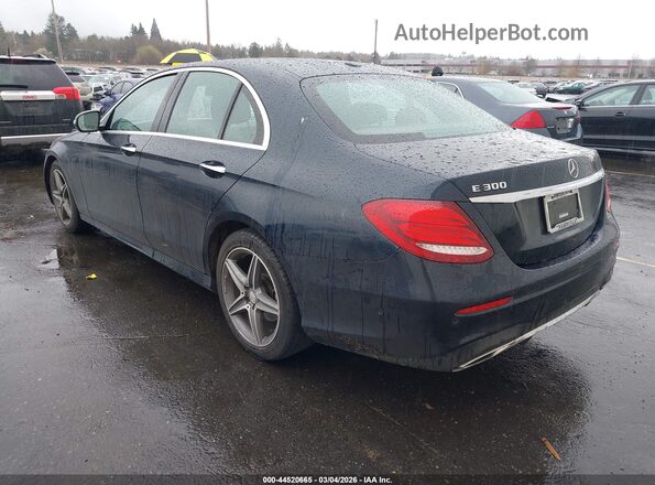 WDDZF4JBXHA008499 2017 MERCEDES-BENZ E-CLASS Blue Задня ліва чверть