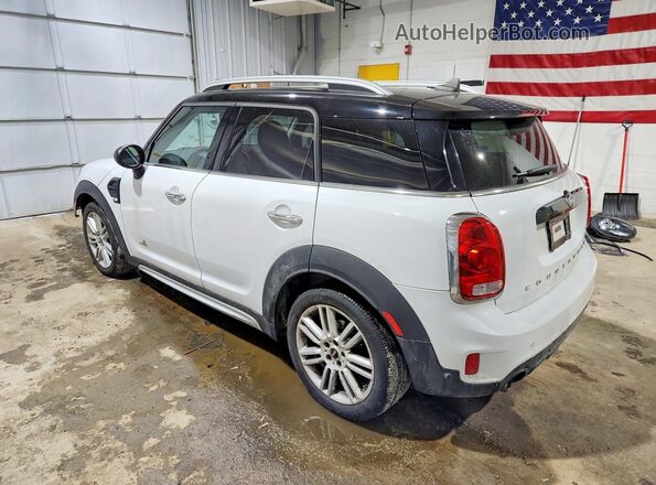 WMZYV5C53K3F58406 2019 MINI COOPER White Задня ліва чверть