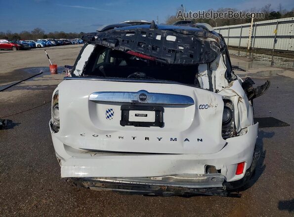 WMZYV5C53K3F58423 2019 MINI COOPER White Widok z tyłu