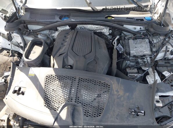 WP1AA2A59PLB16411 2023 PORSCHE MACAN White Widok z tyłu