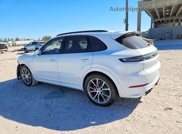 WP1AL2AY8SDA19367 2025 PORSCHE CAYENNE White Tył lewy