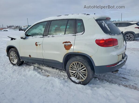 WVGJV7AX5GW592766 2016 VOLKSWAGEN TIGUAN White უკანა მარცხენა