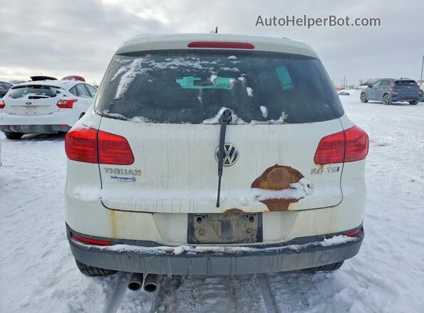 WVGJV7AX5GW592766 2016 VOLKSWAGEN TIGUAN White უკანა ხედი