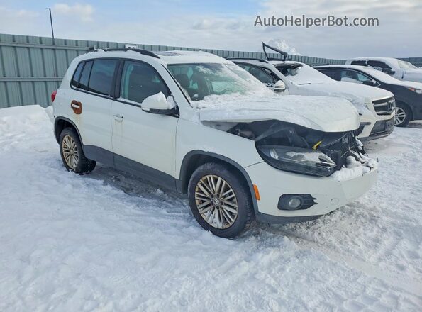 WVGJV7AX5GW592766 2016 VOLKSWAGEN TIGUAN White წინა მარჯვენა