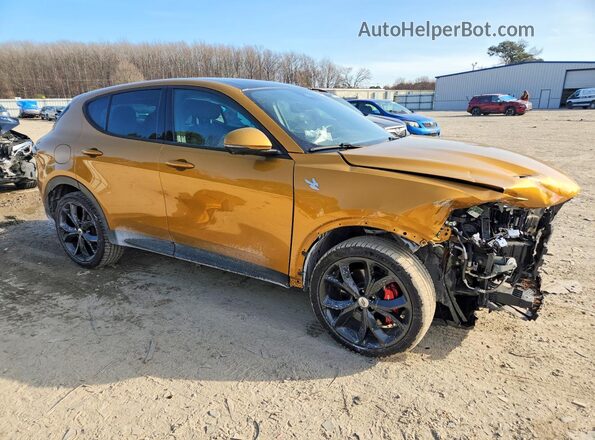 ZACNDFBN5P3A01713 2023 DODGE OTHER Gold Передня права чверть