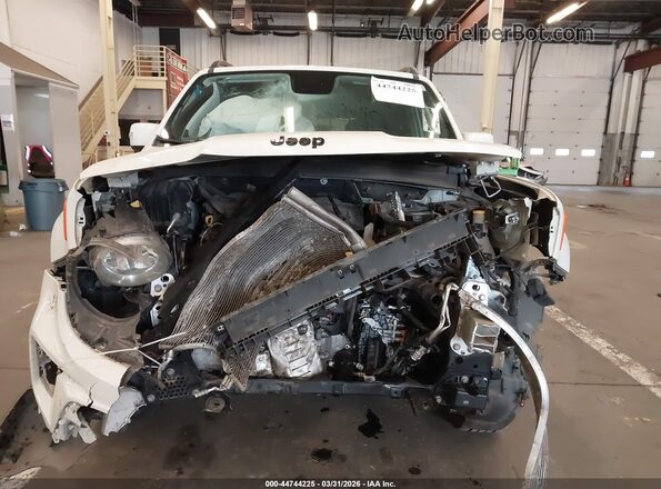 ZACNJBBB7KPK68986 2019 JEEP RENEGADE Белый Вид задней части салона