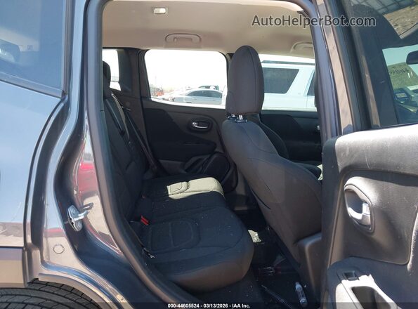 ZACNJDBBXMPN25671 2021 JEEP RENEGADE Gray Widok naklejki z numerem VIN