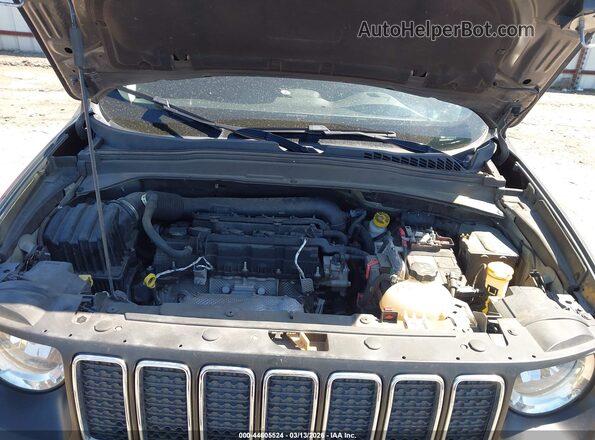 ZACNJDBBXMPN25671 2021 JEEP RENEGADE Gray Widok z tyłu
