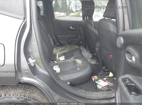 ZACNJDC10MPM97899 2021 JEEP RENEGADE Gray Vista de la etiqueta del VIN