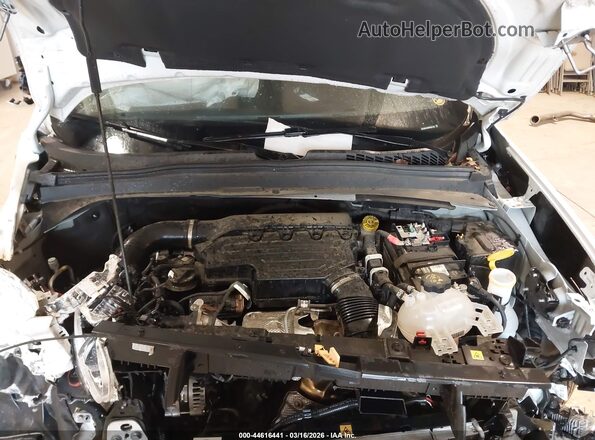 ZACNJDD10PPP62176 2023 JEEP RENEGADE White 