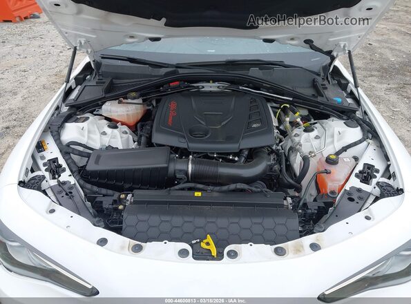 ZARFAMAN1L7635156 2020 ALFA ROMEO GIULIA White Rear view