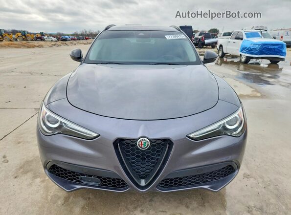 ZASPAJAN4L7C96204 2020 ALFA ROMEO STELVIO Серый Вид спереди