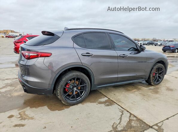 ZASPAJAN4L7C96204 2020 ALFA ROMEO STELVIO Серый Задняя правая четверть