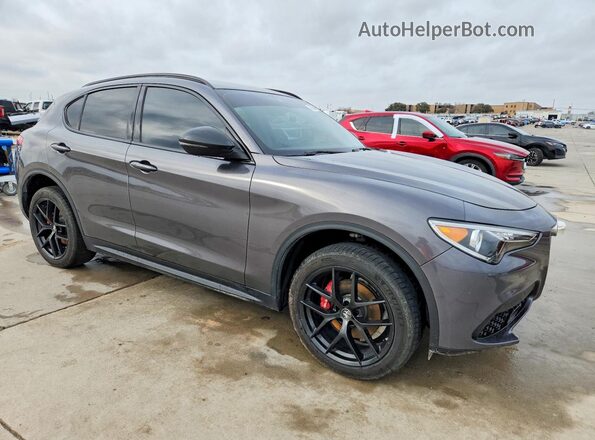ZASPAJAN4L7C96204 2020 ALFA ROMEO STELVIO Серый Передняя правая четверть