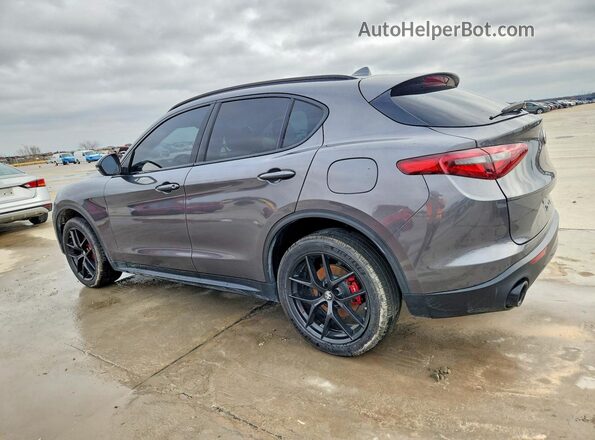 ZASPAJAN4L7C96204 2020 ALFA ROMEO STELVIO Серый Задняя левая четверть