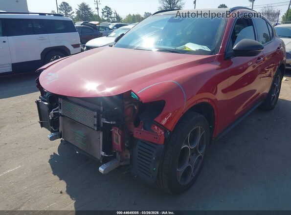 ZASPAKAN1M7D19641 2021 ALFA ROMEO STELVIO Красный 