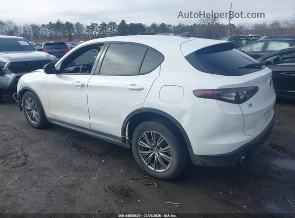 ZASPAKAN4R7D71109 2024 ALFA ROMEO STELVIO Белый Задняя левая четверть