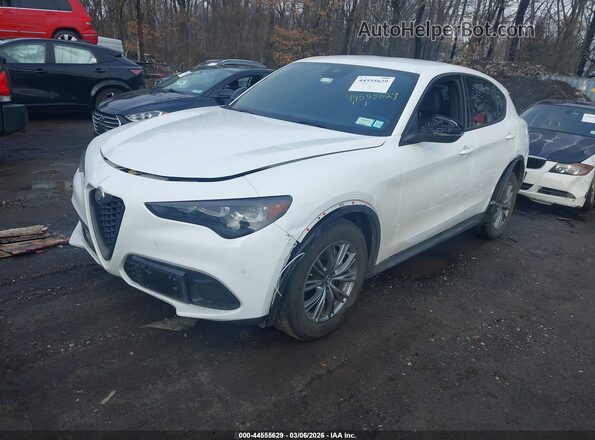 ZASPAKAN4R7D71109 2024 ALFA ROMEO STELVIO Белый Передняя левая четверть