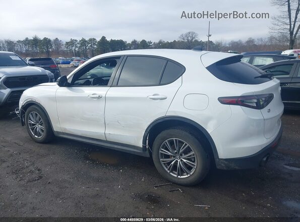 ZASPAKAN4R7D71109 2024 ALFA ROMEO STELVIO Белый Панорамный вид салона 360°