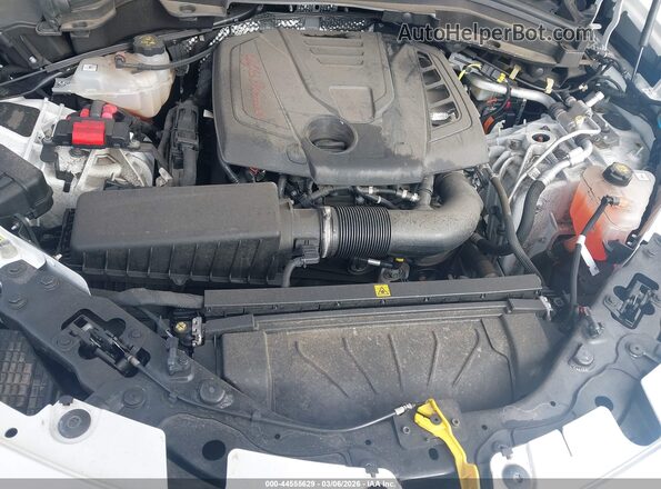 ZASPAKAN4R7D71109 2024 ALFA ROMEO STELVIO Белый Вид сзади