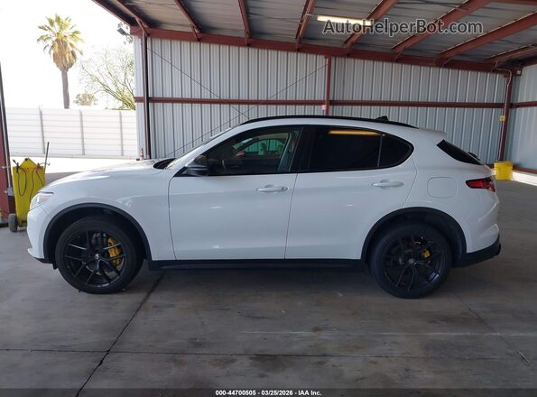 ZASPAKAN6K7C70000 2019 ALFA ROMEO STELVIO White უკანა სალონის ხედი