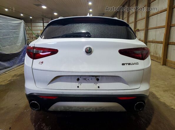 ZASPAKAN6M7D12538 2021 ALFA ROMEO STELVIO Белый Вид сзади