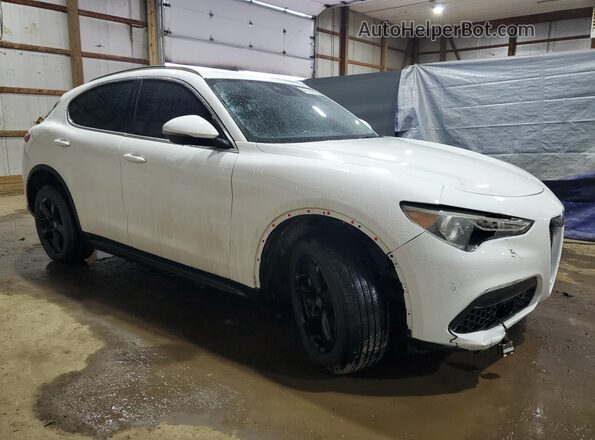 ZASPAKAN6M7D12538 2021 ALFA ROMEO STELVIO Белый 